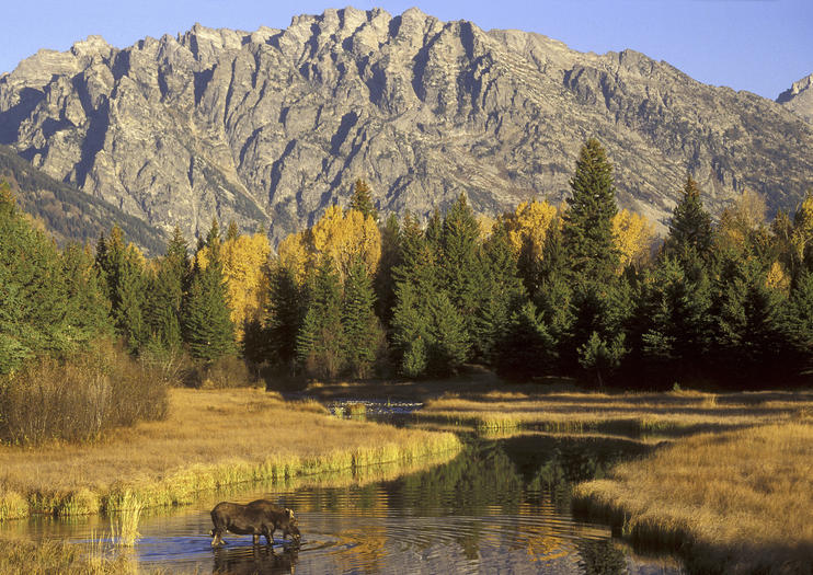 How to Spend 2 Days in Jackson Hole